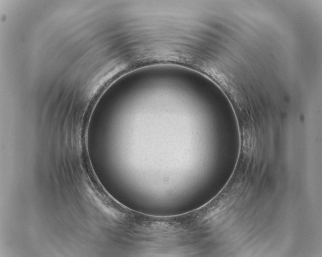 X0000088580390200706011118