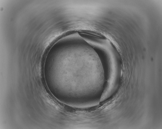 X0000088580391200706011118