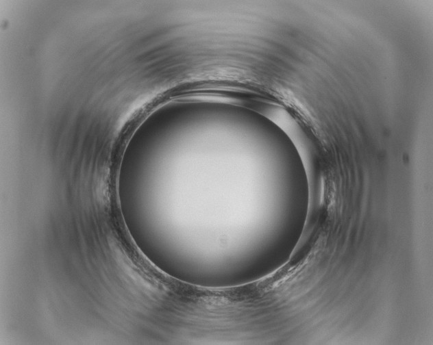 X0000088580392200706011118