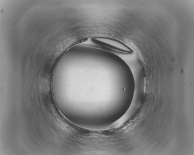 X0000088580393200706011118