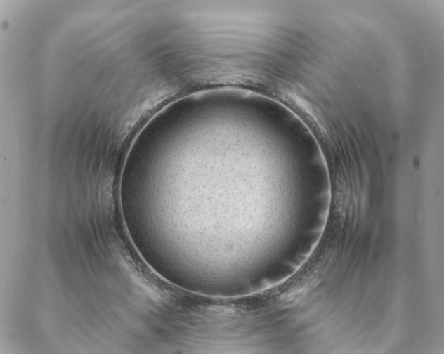 X0000088580394200706011118