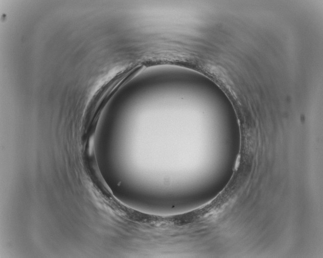 X0000088580395200706011118