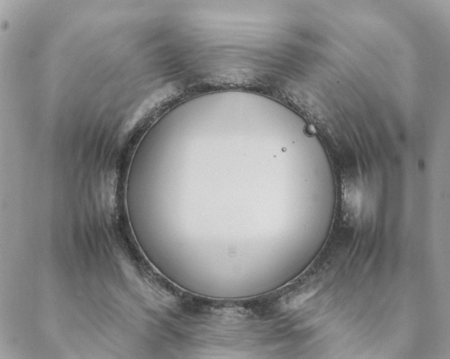 X0000088580396200706011118