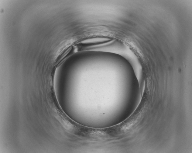 X0000088580397200706011118