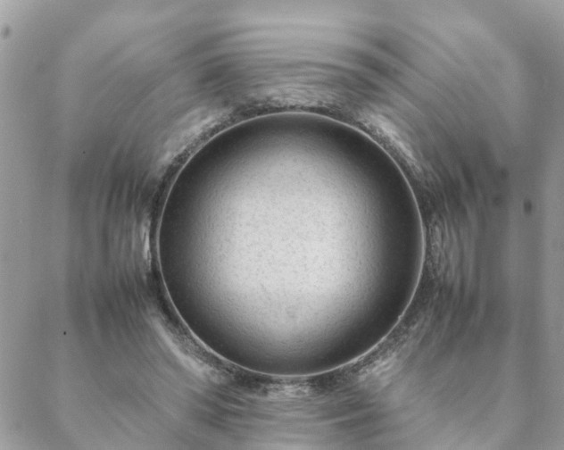 X0000088580398200706011118