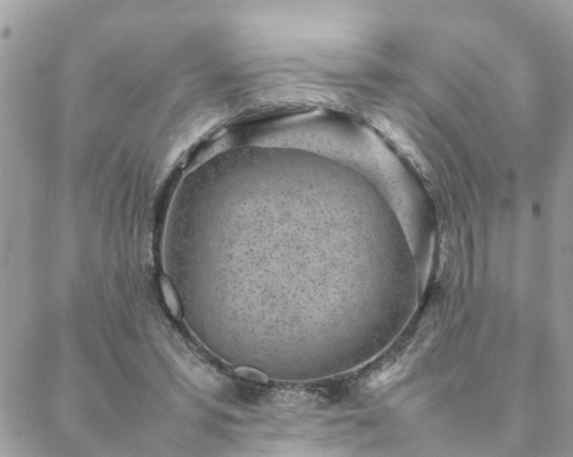 X0000088580399200706011118