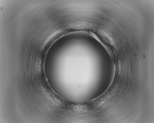 X0000088580400200706011118