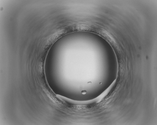 X0000088580401200706011118