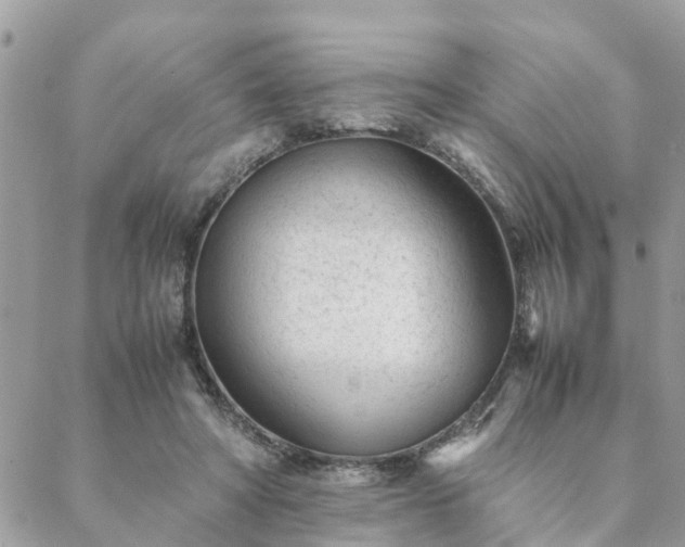 X0000088580402200706011118