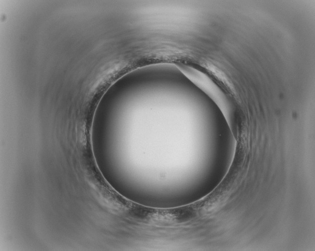 X0000088580403200706011118