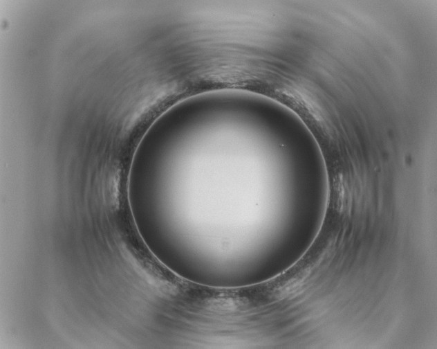 X0000088580404200706011118