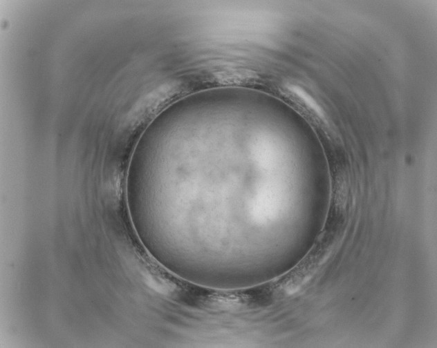 X0000088580405200706011118