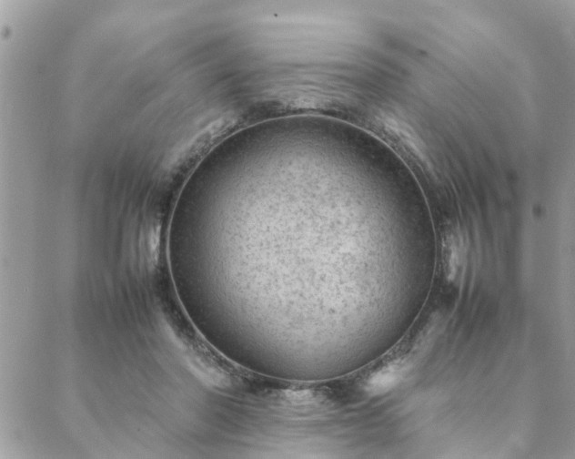 X0000088580406200706011118