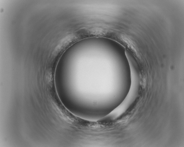 X0000088580407200706011118