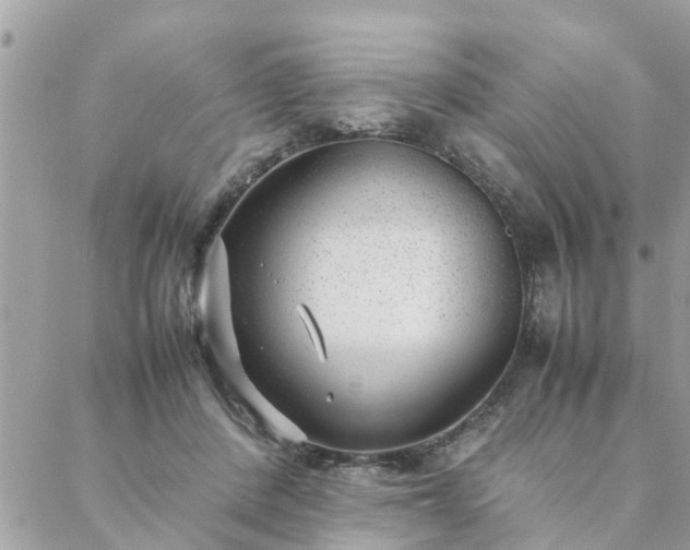 X0000088580408200706011118