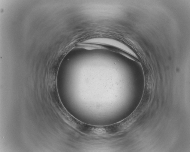 X0000088580409200706011118