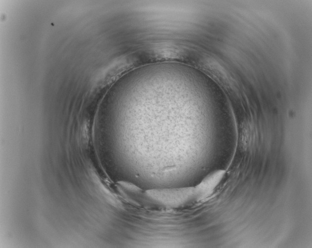 X0000088580410200706011118