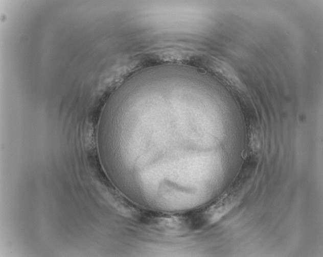 X0000088580411200706011118