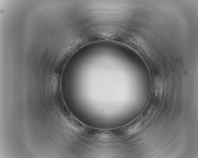 X0000088580412200706011118