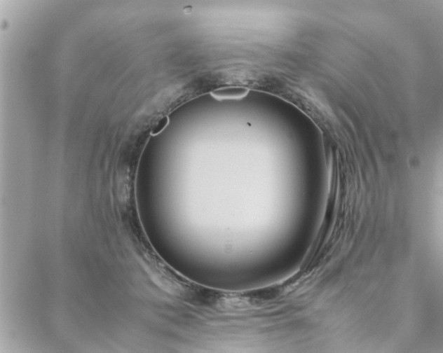 X0000088580413200706011117