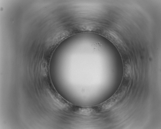 X0000088580414200706011117