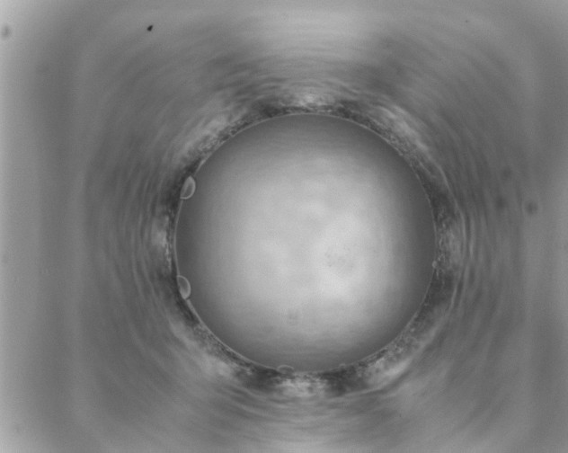 X0000088580415200706011117