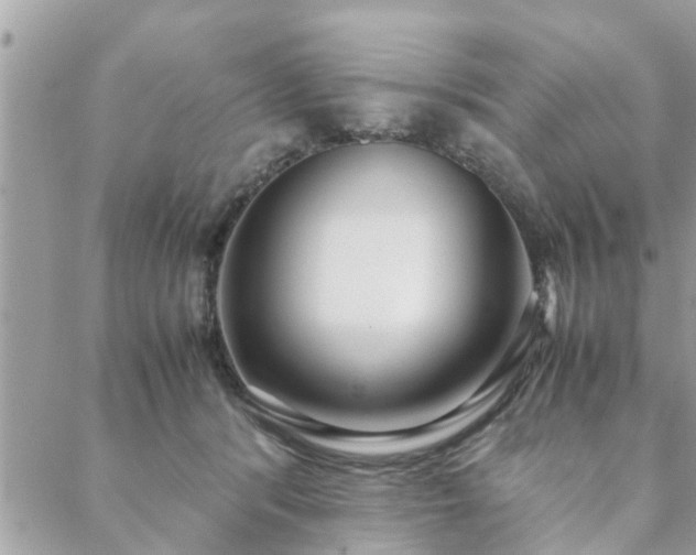 X0000088580416200706011117