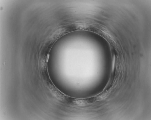 X0000088580417200706011117