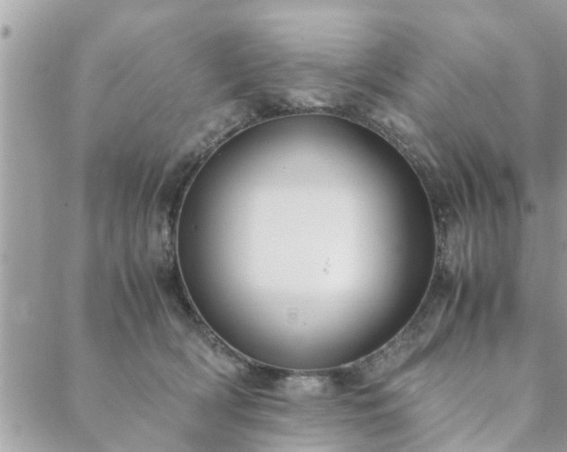 X0000088580418200706011117