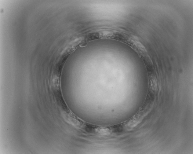 X0000088580419200706011117