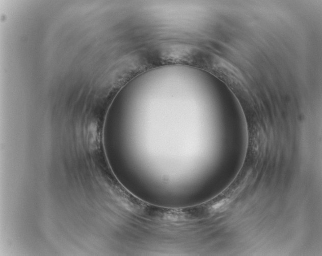 X0000088580420200706011117