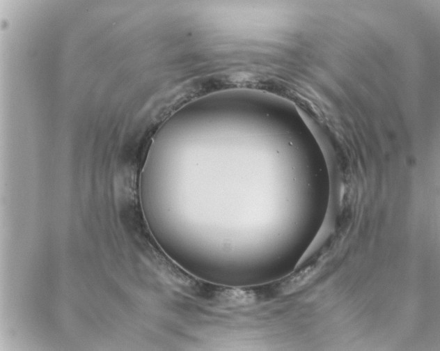 X0000088580421200706011117