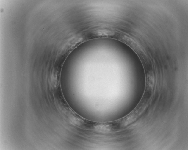 X0000088580422200706011117