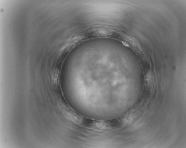 X0000088580423200706011117