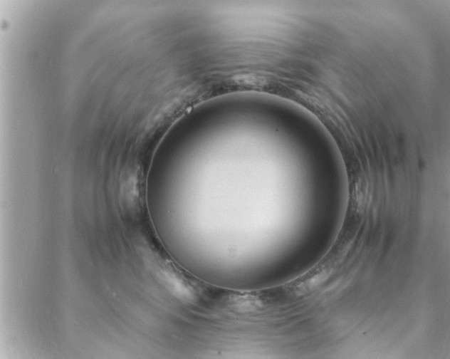 X0000088580424200706011117