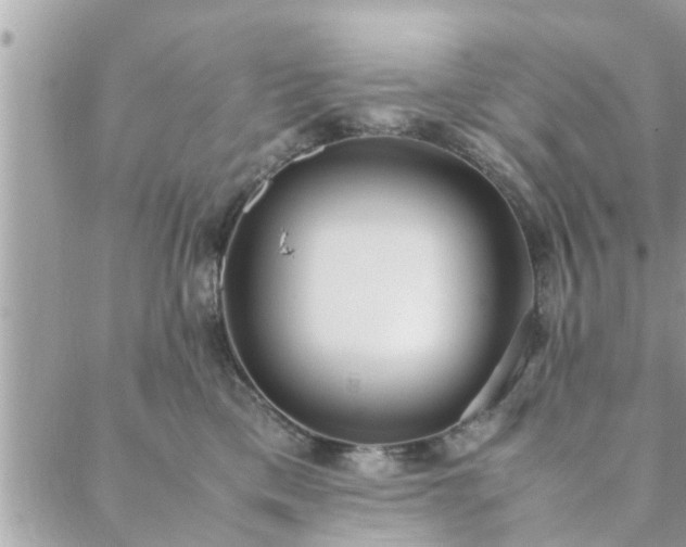 X0000088580425200706011117