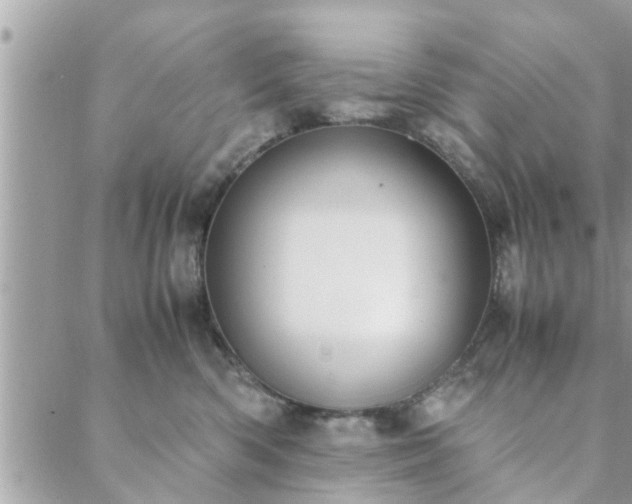 X0000088580426200706011117