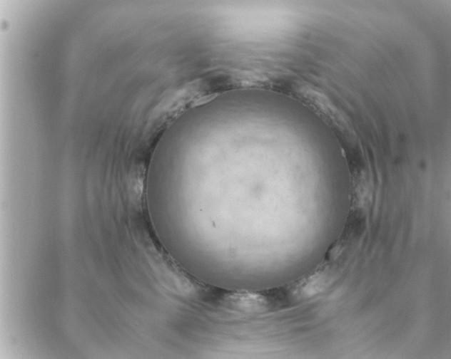 X0000088580427200706011117