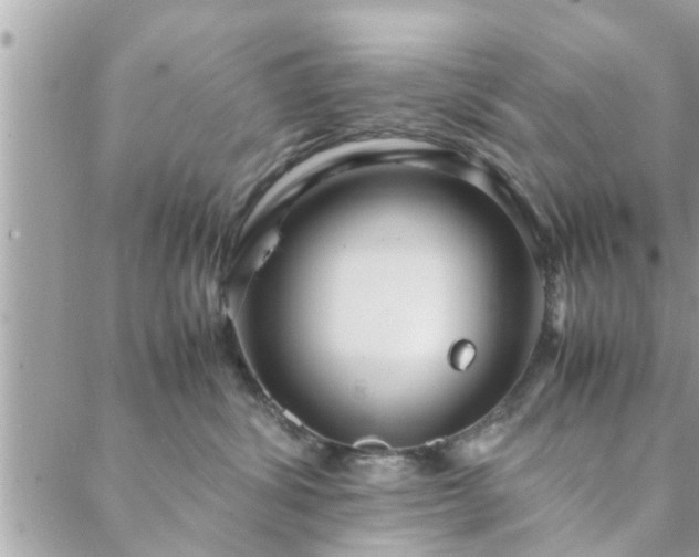 X0000088580428200706011117