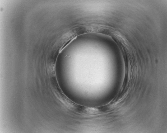 X0000088580429200706011117