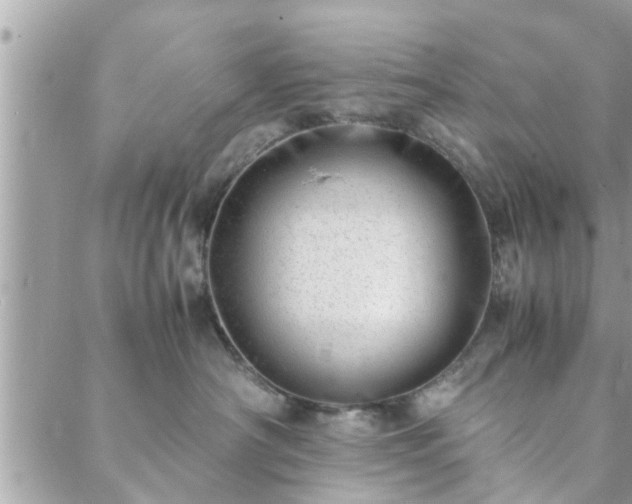 X0000088580430200706011117