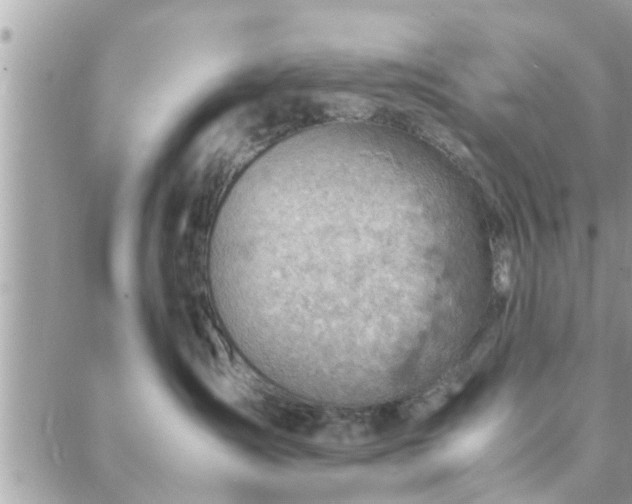 X0000088580431200706011117