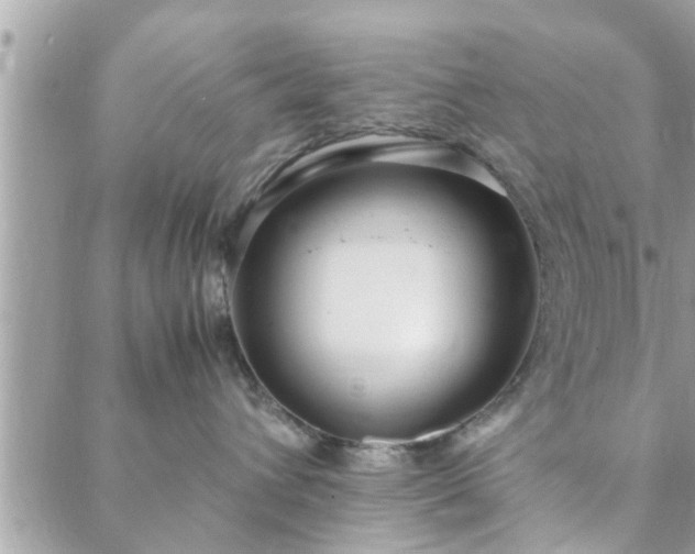 X0000088580432200706011117