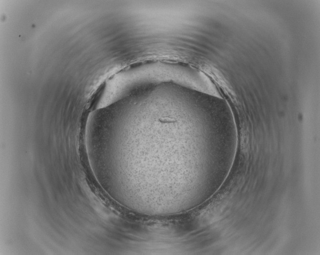 X0000088580434200706011116