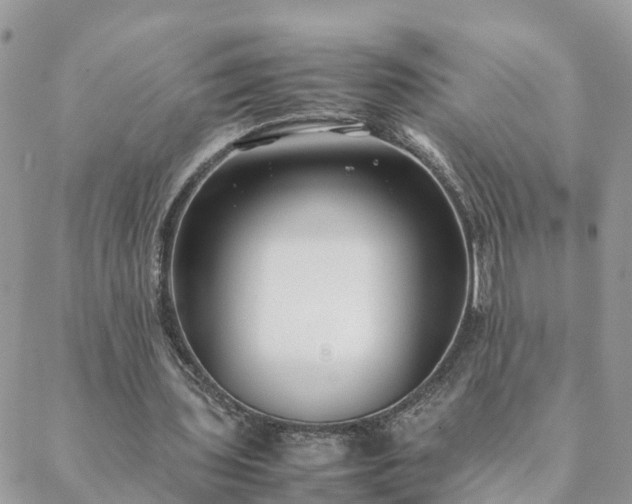 X0000088580435200706011116