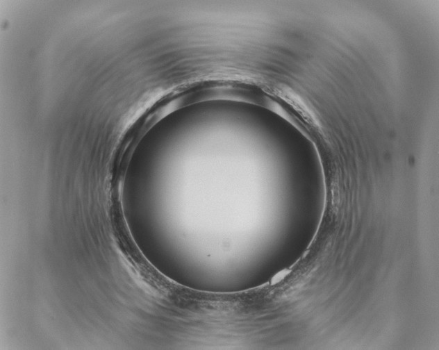 X0000088580436200706011116