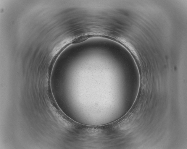 X0000088580437200706011116