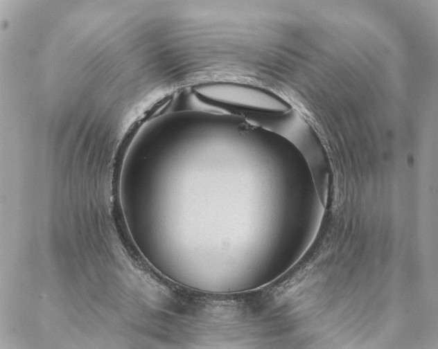 X0000088580438200706011116