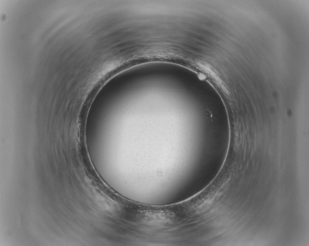 X0000088580439200706011117