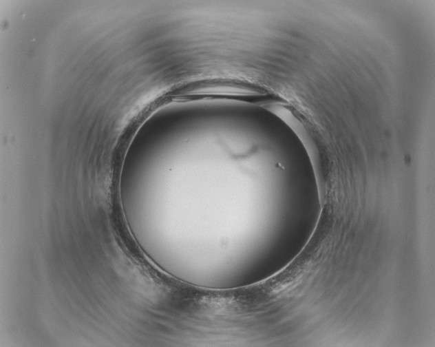 X0000088580440200706011117